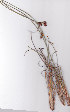  ( - AMM5899)  @11 [ ] No Rights Reserved  Unspecified Unspecified