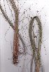  ( - AMM5969)  @11 [ ] No Rights Reserved  Unspecified Unspecified