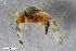  ( - ZFMK-TIS-2547344)  @11 [ ] CreativeCommons  Attribution Share-Alike (by-sa) 4.0 (2019) Unspecified Zoologisches Forschungsmuseum Alexander Koenig
