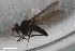  ( - ZFMK-TIS-2547363)  @11 [ ] CreativeCommons  Attribution Share-Alike (by-sa) 4.0 (2019) Unspecified Zoologisches Forschungsmuseum Alexander Koenig