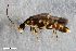  ( - ZFMK-TIS-2547370)  @11 [ ] CreativeCommons  Attribution Share-Alike (by-sa) 4.0 (2019) Unspecified Zoologisches Forschungsmuseum Alexander Koenig