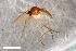  ( - ZFMK-TIS-2605715)  @11 [ ] CreativeCommons  Attribution Share-Alike (by-sa) 4.0 (2018) Unspecified Zoologisches Forschungsmuseum Alexander Koenig