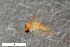  ( - ZFMK-TIS-2605727)  @11 [ ] CreativeCommons  Attribution Share-Alike (by-sa) 4.0 (2018) Unspecified Zoologisches Forschungsmuseum Alexander Koenig