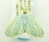  ( - USNM ENT 00194741)  @11 [ ] Unspecified (default): All Rights Reserved  Unspecified Unspecified