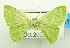  ( - USNM ENT 00733707a)  @13 [ ] Unspecified (default): All Rights Reserved  Unspecified Unspecified