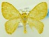  ( - USNM ENT 00800166)  @14 [ ] Unspecified (default): All Rights Reserved  Unspecified Unspecified