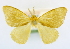  ( - USNM ENT 00808831)  @11 [ ] Unspecified (default): All Rights Reserved  Unspecified Unspecified