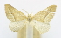  ( - USNM ENT 00808868)  @11 [ ] Unspecified (default): All Rights Reserved  Unspecified Unspecified