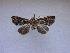  ( - USNM ENT 00648412a)  @13 [ ] Unspecified (default): All Rights Reserved  Unspecified Unspecified