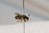  ( - CR-33325-7)  @11 [ ] CreativeCommons  Attribution Non-Commercial Share-Alike (2019) Claus Rasmussen Aarhus University, Denmark