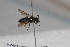  ( - CR-33325-8)  @11 [ ] CreativeCommons  Attribution Non-Commercial Share-Alike (2019) Claus Rasmussen Aarhus University, Denmark