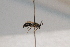  ( - CR-33325-9)  @11 [ ] CreativeCommons  Attribution Non-Commercial Share-Alike (2019) Claus Rasmussen Aarhus University, Denmark