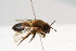  ( - CR-33325-15)  @11 [ ] CreativeCommons  Attribution Non-Commercial Share-Alike (2019) Claus Rasmussen Aarhus University, Denmark