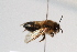  ( - CR-33325-16)  @11 [ ] CreativeCommons  Attribution Non-Commercial Share-Alike (2019) Claus Rasmussen Aarhus University, Denmark