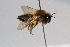  ( - CR-33325-17)  @11 [ ] CreativeCommons  Attribution Non-Commercial Share-Alike (2019) Claus Rasmussen Aarhus University, Denmark
