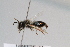  ( - CR-33325-18)  @11 [ ] CreativeCommons  Attribution Non-Commercial Share-Alike (2019) Claus Rasmussen Aarhus University, Denmark