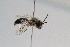  ( - CR-33325-19)  @11 [ ] CreativeCommons  Attribution Non-Commercial Share-Alike (2019) Claus Rasmussen Aarhus University, Denmark