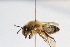  ( - CR-33325-20)  @11 [ ] CreativeCommons  Attribution Non-Commercial Share-Alike (2019) Claus Rasmussen Aarhus University, Denmark