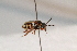  ( - CR-33325-27)  @11 [ ] CreativeCommons  Attribution Non-Commercial Share-Alike (2019) Claus Rasmussen Aarhus University, Denmark