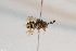  ( - CR-33325-28)  @11 [ ] CreativeCommons  Attribution Non-Commercial Share-Alike (2019) Claus Rasmussen Aarhus University, Denmark