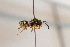  ( - CR-33325-45)  @13 [ ] CreativeCommons  Attribution Non-Commercial Share-Alike (2019) Claus Rasmussen Aarhus University, Denmark