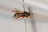  ( - CR-33325-46)  @13 [ ] CreativeCommons  Attribution Non-Commercial Share-Alike (2019) Claus Rasmussen Aarhus University, Denmark