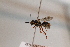  ( - CR-33325-47)  @13 [ ] CreativeCommons  Attribution Non-Commercial Share-Alike (2019) Claus Rasmussen Aarhus University, Denmark