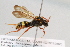 ( - CR-33325-64)  @11 [ ] CreativeCommons  Attribution Non-Commercial Share-Alike (2019) Claus Rasmussen Aarhus University, Denmark