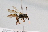  ( - CR-33325-66)  @11 [ ] CreativeCommons  Attribution Non-Commercial Share-Alike (2019) Claus Rasmussen Aarhus University, Denmark