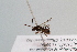  ( - CR-33325-75)  @11 [ ] CreativeCommons  Attribution Non-Commercial Share-Alike (2019) Claus Rasmussen Aarhus University, Denmark