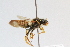  ( - CR-33325-84)  @14 [ ] CreativeCommons  Attribution Non-Commercial Share-Alike (2019) Claus Rasmussen Aarhus University, Denmark