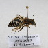  ( - CR-33329-1)  @11 [ ] CreativeCommons  Attribution Non-Commercial Share-Alike (2019) Claus Rasmussen Aarhus University, Denmark