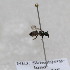  ( - CR-33329-24)  @12 [ ] CreativeCommons  Attribution Non-Commercial Share-Alike (2019) Claus Rasmussen Aarhus University, Denmark