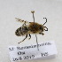  ( - CR-33329-4)  @11 [ ] CreativeCommons  Attribution Non-Commercial Share-Alike (2019) Claus Rasmussen Aarhus University, Denmark