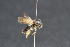  ( - CR-33326-2)  @11 [ ] CreativeCommons  Attribution Non-Commercial Share-Alike (2019) Claus Rasmussen Aarhus University, Denmark