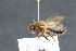  ( - CR-33326-11)  @11 [ ] CreativeCommons  Attribution Non-Commercial Share-Alike (2019) Claus Rasmussen Aarhus University, Denmark