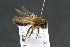  ( - CR-33326-12)  @11 [ ] CreativeCommons  Attribution Non-Commercial Share-Alike (2019) Claus Rasmussen Aarhus University, Denmark