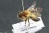  ( - CR-33326-13)  @11 [ ] CreativeCommons  Attribution Non-Commercial Share-Alike (2019) Claus Rasmussen Aarhus University, Denmark