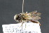  ( - CR-33326-14)  @11 [ ] CreativeCommons  Attribution Non-Commercial Share-Alike (2019) Claus Rasmussen Aarhus University, Denmark