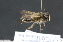  ( - CR-33326-15)  @11 [ ] CreativeCommons  Attribution Non-Commercial Share-Alike (2019) Claus Rasmussen Aarhus University, Denmark