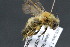  ( - CR-33326-16)  @11 [ ] CreativeCommons  Attribution Non-Commercial Share-Alike (2019) Claus Rasmussen Aarhus University, Denmark