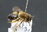  ( - CR-33326-20)  @11 [ ] CreativeCommons  Attribution Non-Commercial Share-Alike (2019) Claus Rasmussen Aarhus University, Denmark