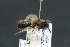  ( - CR-33326-21)  @11 [ ] CreativeCommons  Attribution Non-Commercial Share-Alike (2019) Claus Rasmussen Aarhus University, Denmark