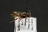  ( - CR-33326-26)  @13 [ ] CreativeCommons  Attribution Non-Commercial Share-Alike (2019) Claus Rasmussen Aarhus University, Denmark