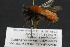  ( - CR-33326-29)  @11 [ ] CreativeCommons  Attribution Non-Commercial Share-Alike (2019) Claus Rasmussen Aarhus University, Denmark