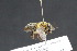  ( - CR-33326-43)  @13 [ ] CreativeCommons  Attribution Non-Commercial Share-Alike (2019) Claus Rasmussen Aarhus University, Denmark