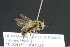  ( - CR-33326-44)  @12 [ ] CreativeCommons  Attribution Non-Commercial Share-Alike (2019) Claus Rasmussen Aarhus University, Denmark