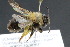  ( - CR-33326-46)  @11 [ ] CreativeCommons  Attribution Non-Commercial Share-Alike (2019) Claus Rasmussen Aarhus University, Denmark