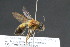  ( - CR-33326-68)  @14 [ ] CreativeCommons  Attribution Non-Commercial Share-Alike (2019) Claus Rasmussen Aarhus University, Denmark
