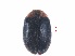  ( - SPM18)  @11 [ ] CreativeCommons - Attribution Share-Alike (2019) Unspecified South China Agricultural University, Department of Entomology